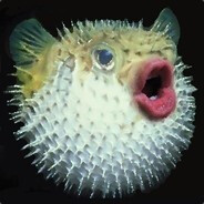 Klaus - steam id 76561197970547772