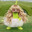 Dipsy