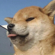 宇宙无敌达咩达咩哟