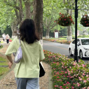 从你的全世界路过