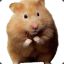 Hamster_Marrom