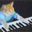 Keyboard Cat