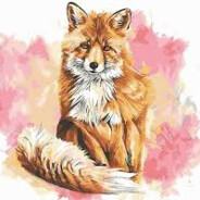 Fox - steam id 76561198151636460