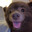 AfterAllThat Steam avatar