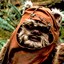 Ewok &#039; Wicket