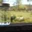 Jar O&#039; Moonshine