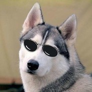 德州中环十三太保