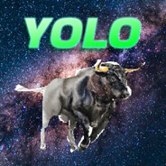 Yolo