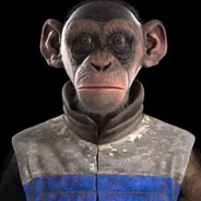 niknady - steam id 76561198844717532