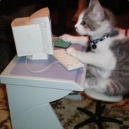 cherryfairyfloss - steam id 76561197964524469