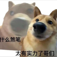 她还是那么的温柔