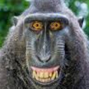 ape 1
