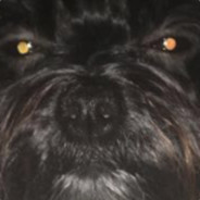 yzy
