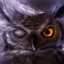 Devil Owl