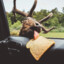 GlutenMoose69