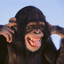 Avatar of player 1433412