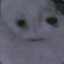 jeff