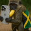 jamican monkey