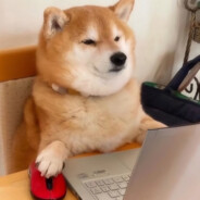 传奇大门 架死中门