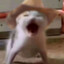 Pumki