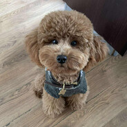 jonas - steam id 76561198002492667