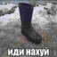 бегите я конченый