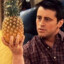 Joey Pinapples