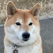 略略略略略略略略略略