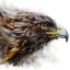 skyshooterin
