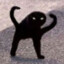 mimimaomao