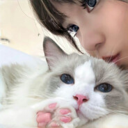 能不能把那破锅放回去