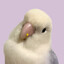 Nayuta