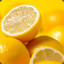 Lemonade_Lemon