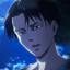 levi