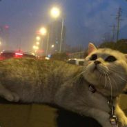 我承认我有赌的成分