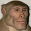 [CLB] MACACO