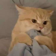♡KOT♡