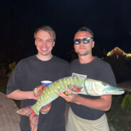 акула стендофа