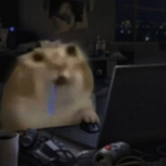 PilippVivo avatar