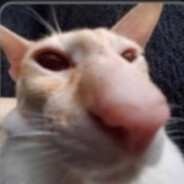 Panchiko - steam id 76561198091452493