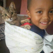 МС по бицепсу