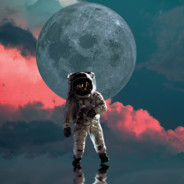 心态极好的玩家