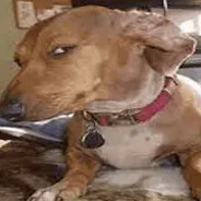 balnurdinrashid02 - steam id 76561199514778658