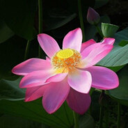 衣服包包给你买新的