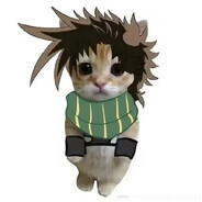 AAA乔斯达不动产老总