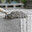 Cement