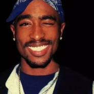 日本人は豚や犬にも劣