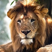 Adam Z