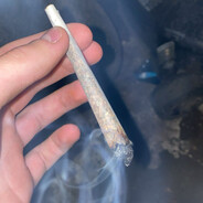 Joint_peek Katujemy.eu