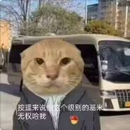 虚空巨猫灯